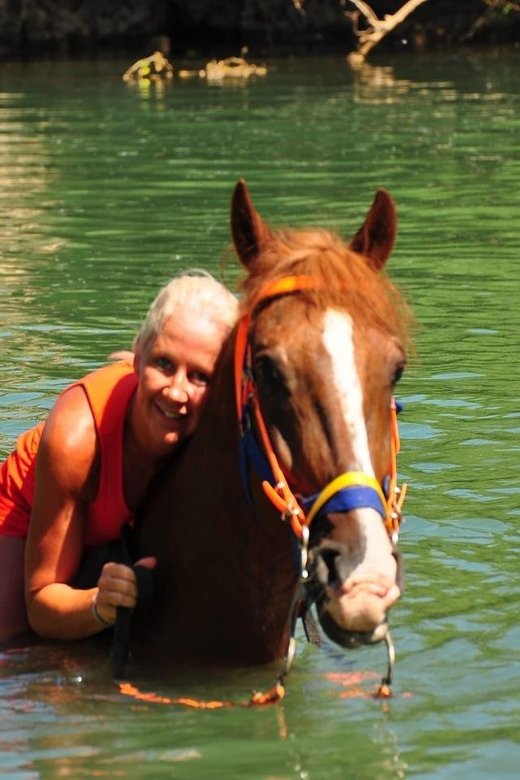 City of Alanya: Horse Riding Experience - The horses and the level of care