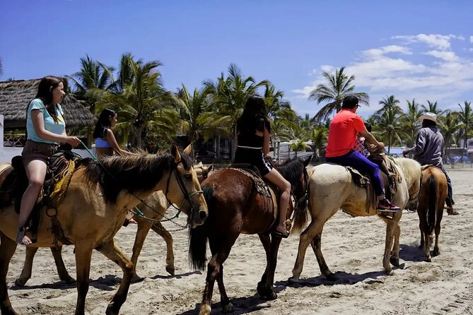 City Tour & Beach Club All Inclusive W Horse Ride & Water Sports - A quick Mazatlan morning before the beach