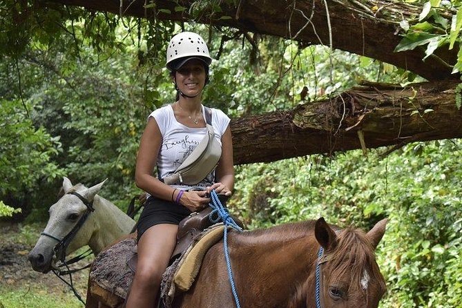 City Tour with Horseback Riding, Zipline, and Dune Buggy at the Countryside - Coffee, cocoa, cigars, and Mamajuana