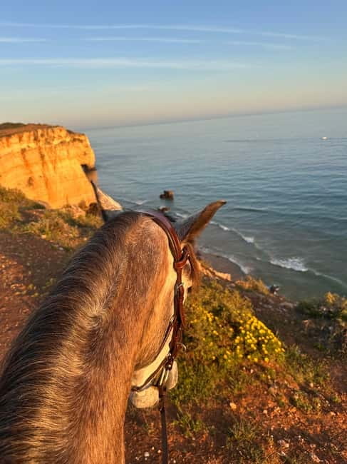 Cliffside Horseback Riding in the Algarve - Starting at Casa Lusitana near Ferragudo