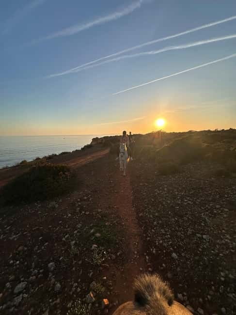 Cliffside Horseback Riding in the Algarve - The return to Casa Lusitana