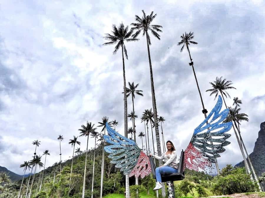 Cocora Valley: Salento & Private Horseback Riding Tour - Why this day works so well