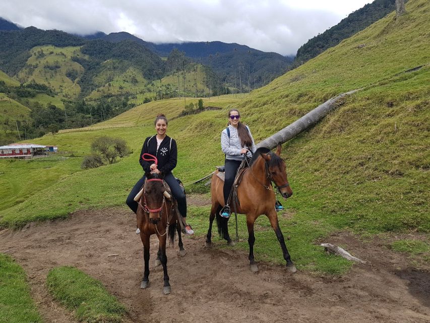 Cocora Valley: Salento & Private Horseback Riding Tour - Walking among the wax palms