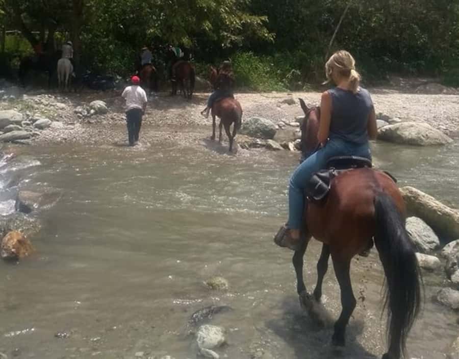 Cocora Valley: Salento & Private Horseback Riding Tour - What the guide adds to the day