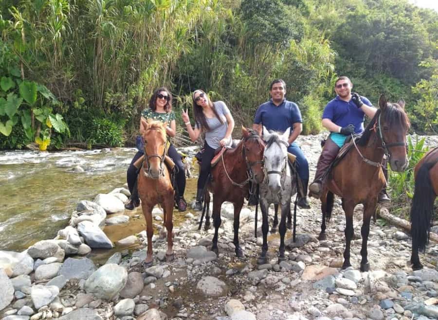 Cocora Valley: Salento & Private Horseback Riding Tour - Who should book this experience?