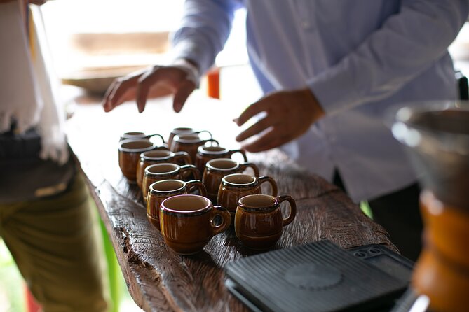 Coffee Tour with arrival on horseback and sugar cane processing - Putting on the poncho and picking ripe coffee