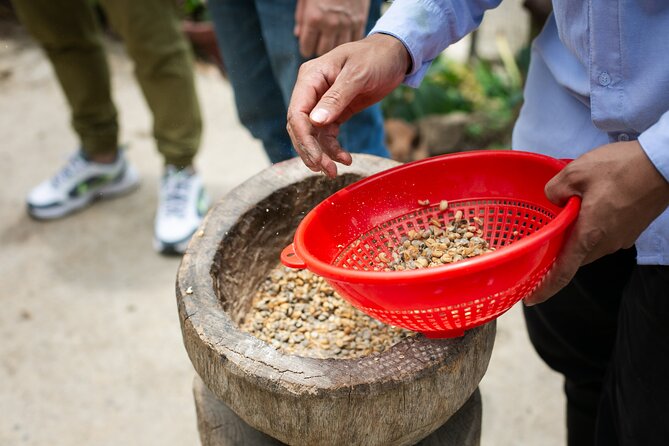 Coffee Tour with arrival on horseback and sugar cane processing - Is $75.90 a fair price?
