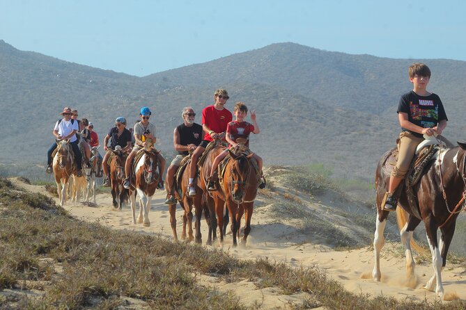 Combined ATV and Horseback Ride/Tequila Tasting - Who will enjoy this Cabo outing most