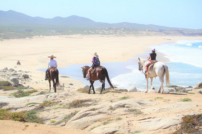 Combo Adventure with RZR and ATV or HBR and Tequila Tasting - Horseback riding to the beach