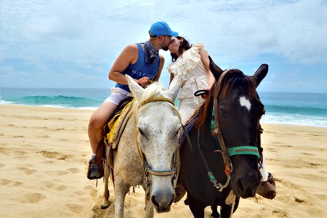 Combo Double Utv + Horses - Two Cabo adventures in one half-day