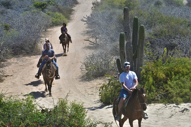 Combo Double Utv + Horses - Cost, fees, and what you receive
