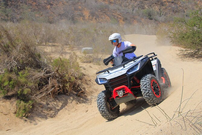 Combo Horseback Ride and Sky Bike in Cabo - Guides, safety, and the family angle