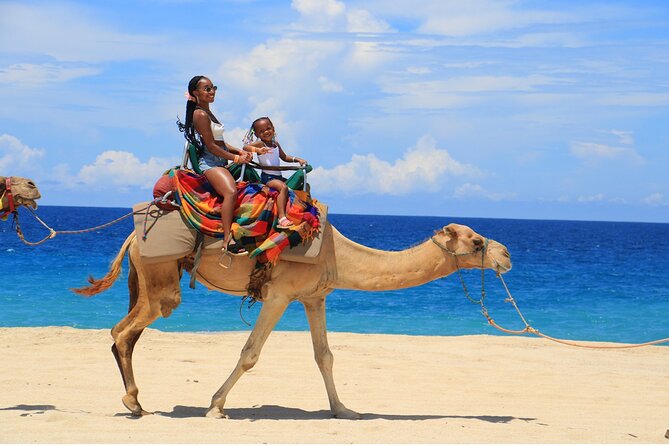 Combo Horseback Ride and Sky Bike in Cabo - Timing, transport, and what to pack