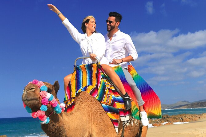 Combo Horseback Ride and Sky Bike in Cabo - Who should book this Baja outing