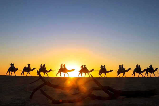 Combo Horseback Ride and Sky Bike in Cabo - Horseback riding beside Playa Migriño