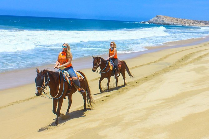 COMBO Horseback Riding & UTV Tour - Two Cabo adventures packed into one short outing
