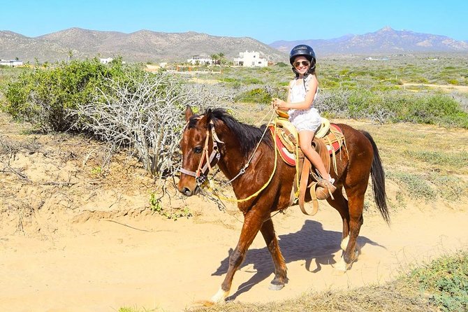 COMBO Horseback Riding & UTV Tour - Group size, timing, and the feel of the day