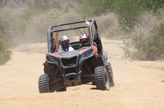 COMBO Horseback Riding & UTV Tour - Who will enjoy this combo most
