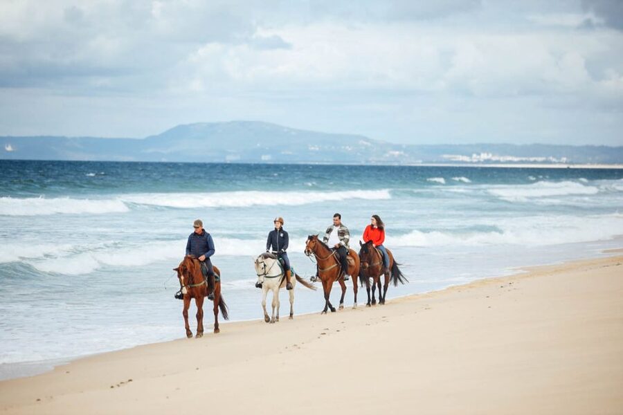Comporta: Guided Horseback Riding Experience - Key points at a glance
