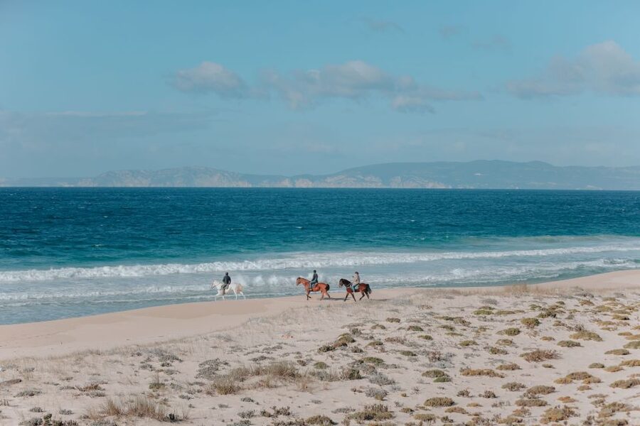 Comporta: Guided Horseback Riding Experience - From Cavalos na Areia into Comporta’s open country