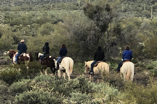 Contact us to book your time. Best Trail Rides in Arizona. - What the 1-hour-15-minute ride is really like
