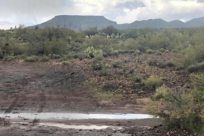 Contact us to book your time. Best Trail Rides in Arizona. - Why a private group changes the experience