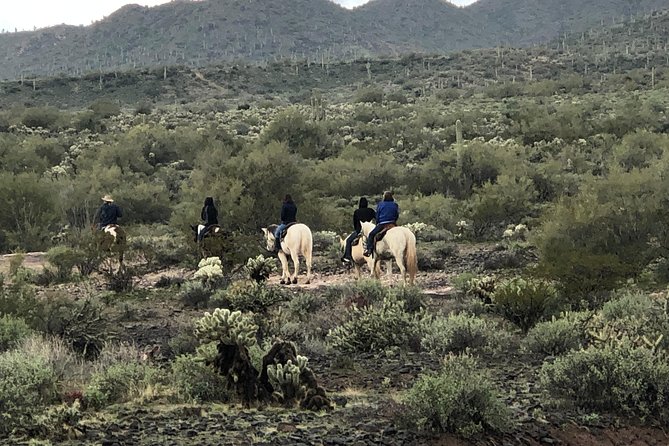 Contact us to book your time. Best Trail Rides in Arizona. - Who should choose this Arizona trail ride