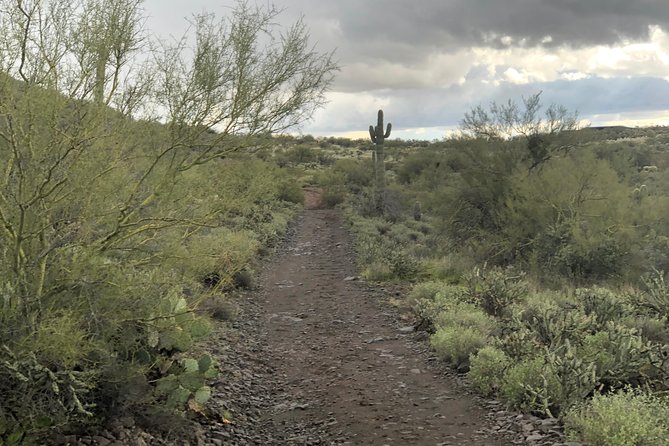 Contact us to book your time. Best Trail Rides in Arizona. - Practical booking advice before you leave Phoenix