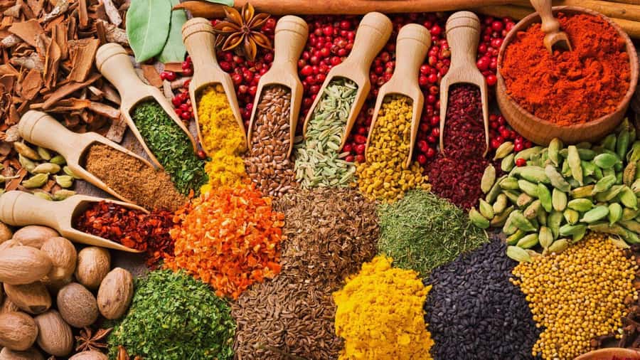 Cooking Class Tour, Stone Town Tour, Horseback Riding - Three hours in Stone Town
