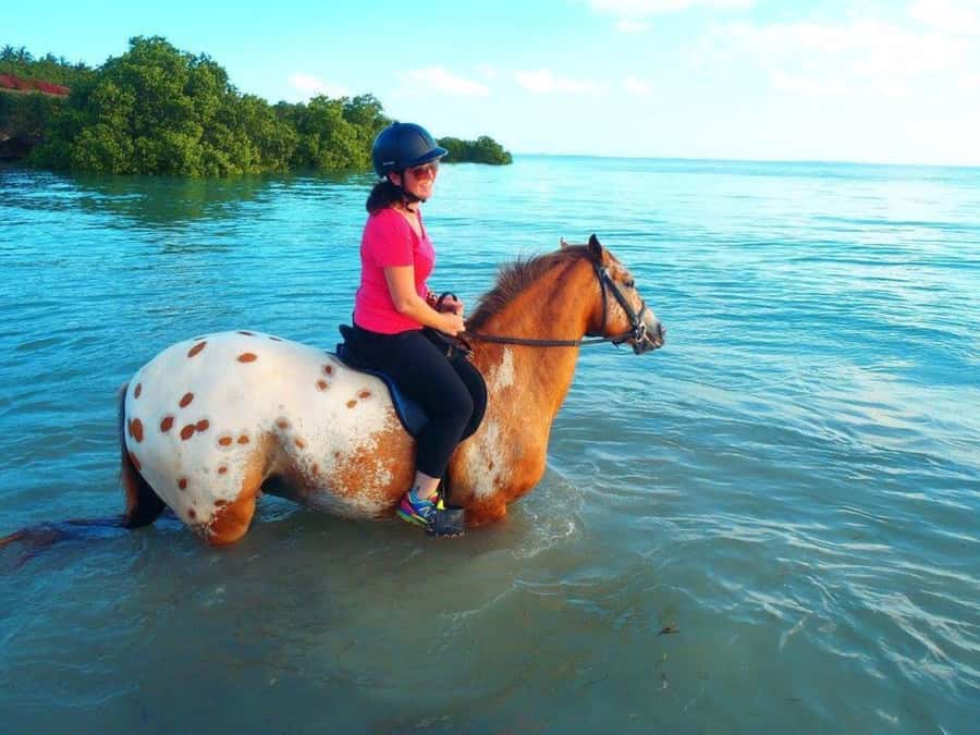 Cooking Class Tour, Stone Town Tour, Horseback Riding - Practical booking advice