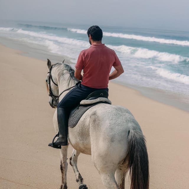 Costa Alentejana: Horse tour in Serra de Grândola - My take: a gentle ride with more character than a beach-only outing
