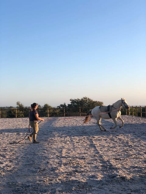 Costa Alentejana: Horse tour in Serra de Grândola - The viewpoint toward lagoons, mountains, and sea