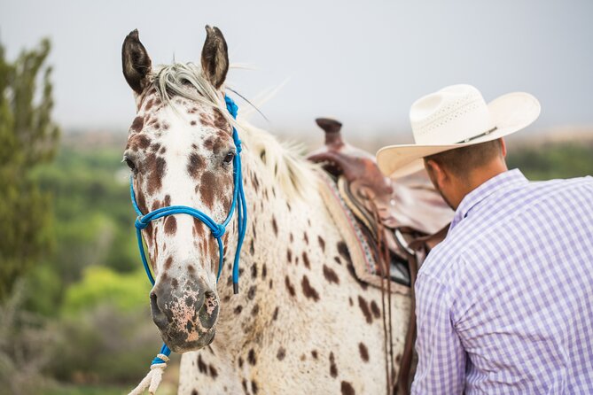 Cowpoke Ride: Adventurous horseback tour just 9 MILES from Sedona - What first-time riders should know