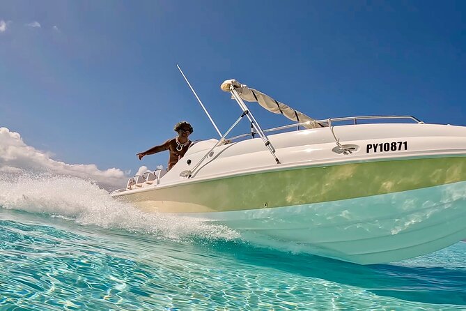 Crazy sea horse Bora Bora Comfortable boat, snorkeling and lunch - Key points before you book