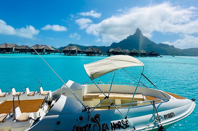 Crazy sea horse Bora Bora Comfortable boat, snorkeling and lunch - A fast start on Bora Bora’s lagoon