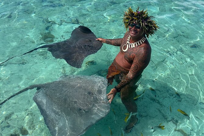 Crazy sea horse Bora Bora Comfortable boat, snorkeling and lunch - Lunch on a motu makes the afternoon