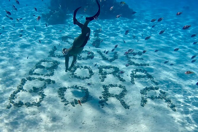 Crazy sea horse Bora Bora Comfortable boat, snorkeling and lunch - Who will enjoy this Bora Bora outing most