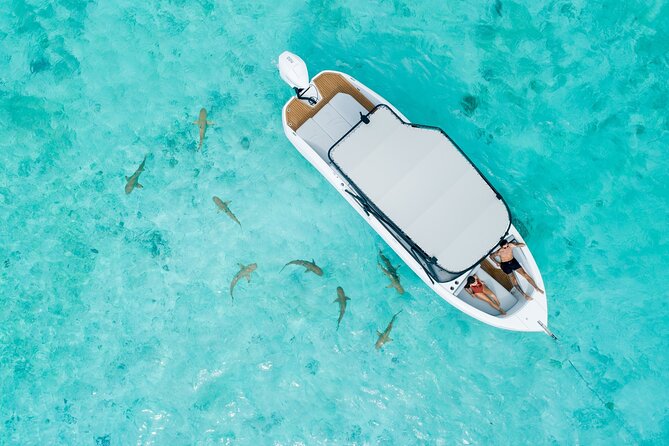Crazy sea horse Private Sunset Tour in Bora Bora - Drinks, snacks, and comfort on board