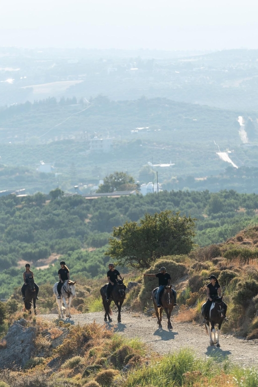 Crete Horse Riding: Cretan Countryside Ride - Meeting the Horses at Plakias Horse Riding Center