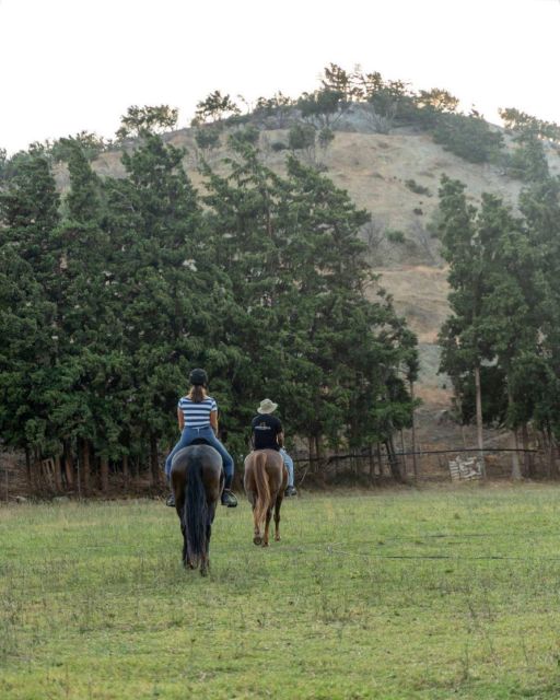 Crete Horse Riding: Cretan Countryside Ride - A Gentle Start for New Riders