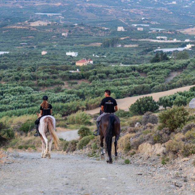 Crete Horse Riding: Cretan Countryside Ride - The Best Parts of the Experience