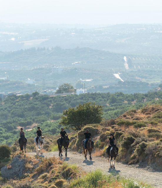 Crete Horse Riding: Cretan Countryside Ride - Through South Crete’s Olive Groves