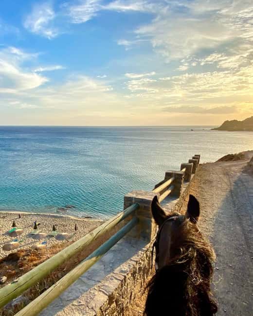 Crete Horse Riding: East Coastline Ride - Key points to know before booking