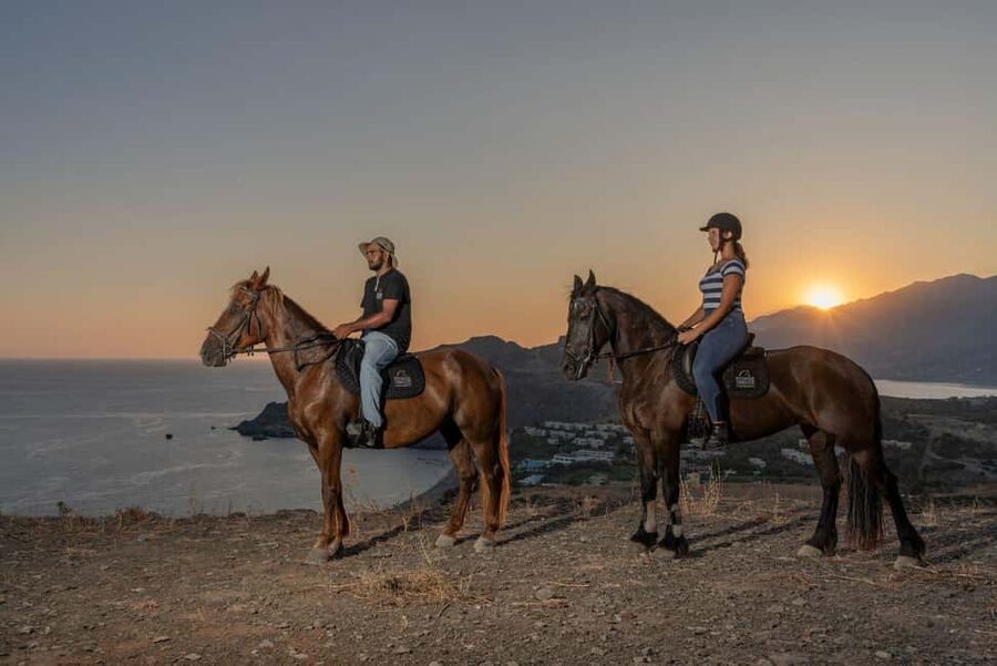 Crete Horse Riding: East Coastline Ride - From olive groves to Damnoni Beach