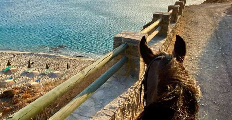 Crete Horse Riding: East Coastline Ride - Small group, guide, and horse arrangements