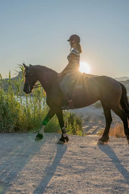 Crete Horse Riding: East Coastline Ride - Following the rural roads east