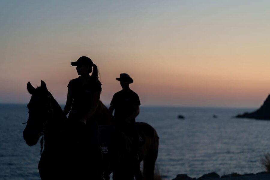 Crete Horse Riding: Mesmerising Sunset Ride - The first stretch through the olive groves
