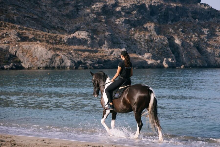 Crete Horse Riding: Plakias Beach Ride - FAQ