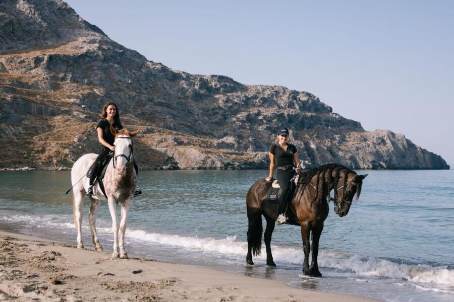 Crete Horse Riding: Plakias Beach Ride - How the horses and guides affect the ride