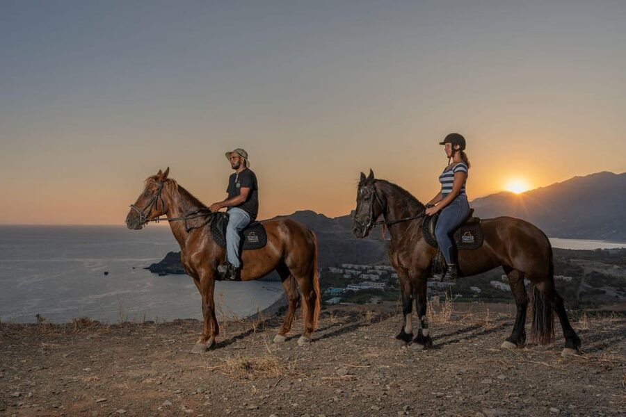 Crete Horse Riding: Saint Paisios Hill Trip - From olive groves to Damnoni Beach